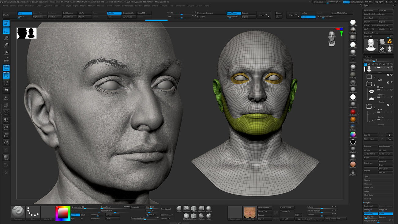 Download Zbrush head sculpt